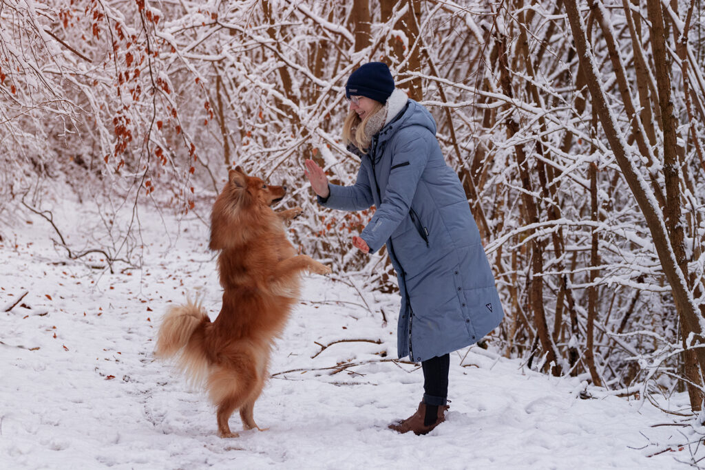 Eine glückliche Frau spielt mit ihrem liebevollen Hund im funkelnden Schnee. Das Bild strahlt Freude und Winterzauber aus, während die beiden im Schnee herumtollen. Diese herzerwärmende Szene einfängt die Freundschaft zwischen Mensch und Tier in einer idyllischen Winterlandschaft.