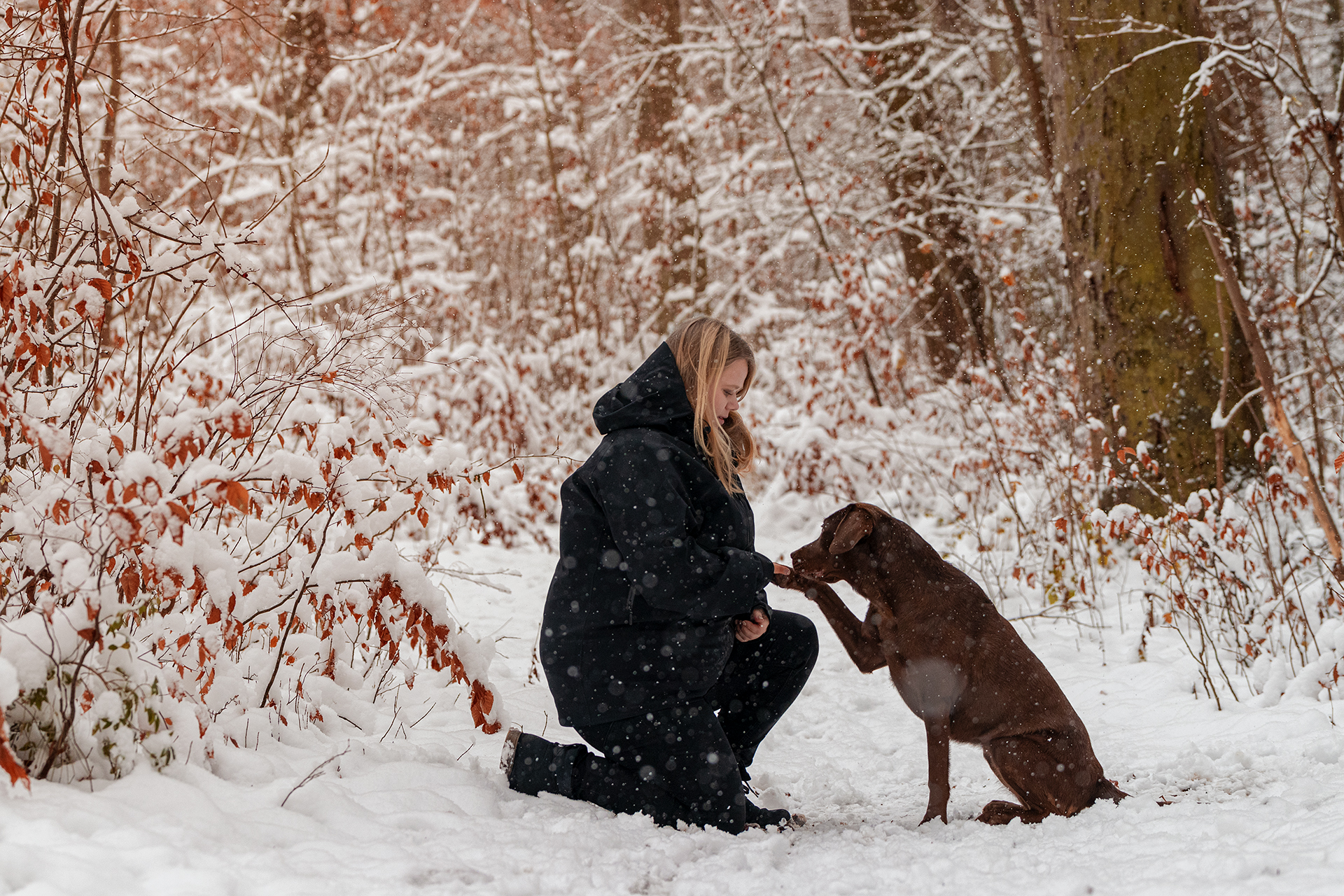Hund mit Besitzer im Schnee Tierfotografie Jena